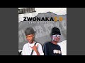 Zwonaka 2.0