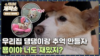 [ 반려견과 함께하는 이색 데이트🐶 ]  I 강아지랑 놀러가자❗ I 생방송투데이 [프리]