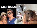 Мы вернулись домой 🏡 Девочки сбежали 🐀