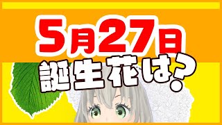 【花言葉】5月27日の誕生花は？／花白もか