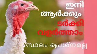 എന്റെ ടർക്കി വളർത്തൽ എക്സ്പീരിയൻസ് || Turkey Farming malayalam [Travel Beeps]