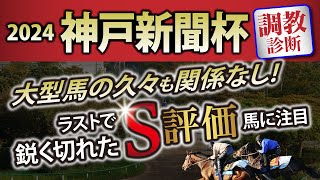 【神戸新聞杯 2024｜調教診断】大型馬の久々も関係なし！ラストで鋭く切れた【S評価】馬に注目