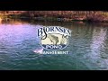 bjornsen pond management purina aquamax fish food