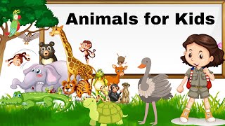 Animals for Kids | learn animals name | Animals Name in English with pictures