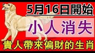 5月16日開始小人消失，貴人帶來偏財，財氣越來越好的生肖 | 星座生肖