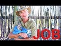 Be A Wildlife Carer | Get My Job