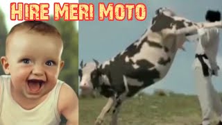 Haye Re Meri Moto| Cow Version | Hi Re Meri Motto | Ajay Hooda | Diler Kharkiya