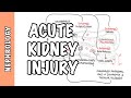 Acute Kidney Injury (AKI) - prerenal, intrarenal and postrenal causes and pathophysiology