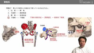 解剖学運動器系 国家試験対策 問題21-40