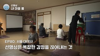 [내 마음 봄] EP80. 선명상은 복잡한 감정을 끊어내는 것 #대각사 #사찰 #명상 #절 #선명상