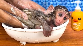 Baby monkey Bon Bon bath in the bathtub and playing with the puppy So cute