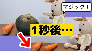 ぬいぐるみがマジックやってみた！【ルシュクル：人形劇】ep.37