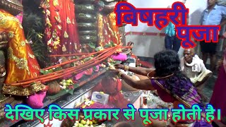 Bishari puja. Bihula bishari puja. Mansa puja. Manosa puja. Bishari puja video. Bihula bishari video