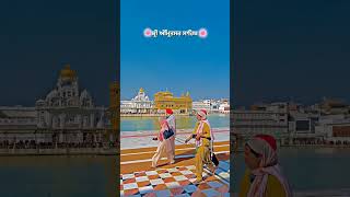 Amritsar #goldentemple #india #delhi #punjab #youtubeshorts #2023