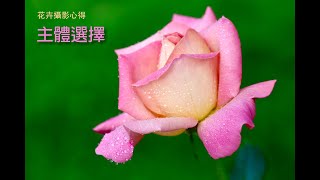 花卉摄影主体选择 -- 花卉摄影心得分享之三 #flowerphotography #摄影技巧 #花卉攝影