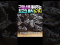 구멍난 뼈 채워주는 최고의 음식 6가지!  골다공증 예방 음식