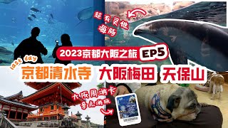 【2023京都大阪旅游全记录】EP5 大阪篇day1\u00262  大阪周游卡免费景点和设施游玩！ | 天保山大阪海游馆超活泼的鱼鱼~