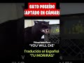 Gato poseído captado en cámara  #extraño #demonio #gato #posesión #paranormal  #espeluznante #raro