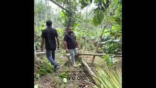 Wayanad Ambalavyal | Garden Fencing | tata wiron chain link with concrete post