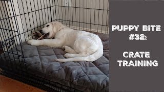 Empowered Puppy Bite #32: Crate Training