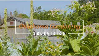 College of the Muscogee Nation Community Garden