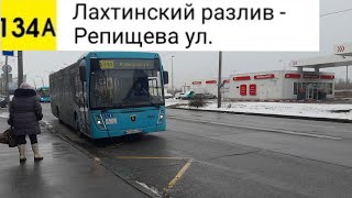 Автобус 134А. Лахтинский разлив - Репищева ул. (трасса изменина)