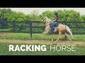 About the Racking Horse!