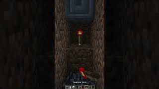 Minecraft Password Door🔒#shorts