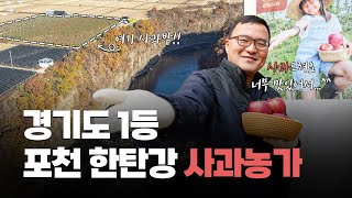 한탄강 절벽 위 포천 사과농가!(feat. 경기도 사과품평회 대상 수상)