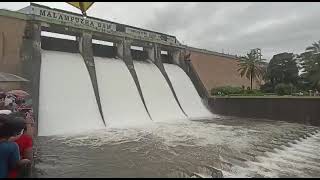 Malambuza dam today#short #short മലമ്പുഴ ഡാമിന്റെ നാലു ഷട്ടർ  തുറന്ന  കാഴ്ച #palakkad #