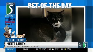 TV5 Pet of the Day: Meet Libby!