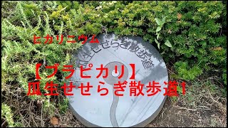 【ブラピカリ】瓜生せせらぎ散歩道1　東京都多摩市のせせらぎのある遊歩道を歩く