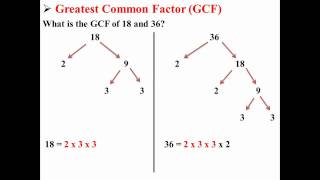 Greatest Common Factor(GCF)