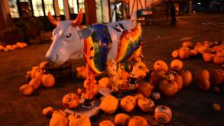 【Niseko Travel】JR　ニセコ駅　ハロウィンのかぼちゃでいっぱい