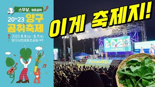 청춘양구의 대표축제! 양구곰취축제에 다녀왔습니다~ (양구축제 | 5월가볼만한곳 | 5월축제 | 양구여행 | 양구곰취)