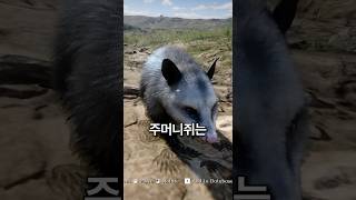 의외로 사람들이 모르는 레데리2 놀라운 디테일 5가지7 [서부 GTA]