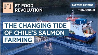 The changing tide of Chile’s salmon farming | FT Food Revolution