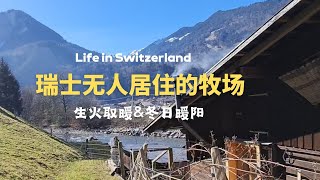 冬日里在瑞士无人居住的牧场，生火取暖，享受暖阳！| 瑞士小木屋|  瑞士生活记录 | 小木屋的取暖方式