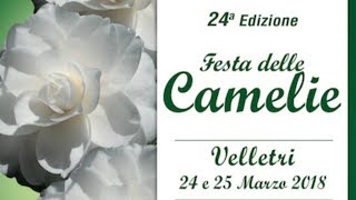 Festa Delle Camelie - Velletri 2018 [Official Video]