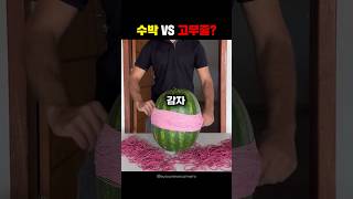 수박 VS 고무줄?