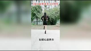 广场舞：20步《爱江山更爱美人》