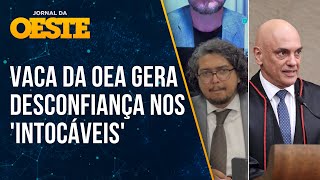 STF suspeita que relatório da OEA possa favorecer Jair Bolsonaro