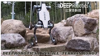 Unlimited Versatility | DEEPRobotics Lynx All-Terrian Robot