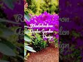 Rhododendron Azalea Garden Design