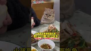 小孩哥当着猫咪面吃鱼，小猫咪馋得一直盯着筷子看，“它竟然能像人一样胳膊拄在桌子上”🤣🤣🤣