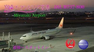 2020.2.23 宮崎空港 JAL B737-800 着陸〜スポットイン Haneda Airport 〜Miyazaki Airport