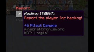ReportGUI (1.8-1.14+) - Speed Coding