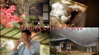 Rest In Korea: Healing Life in Ssangsanjae, Gurye🍂 | Arirang TV #Healing #Korea #쌍산재