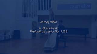 Alojz Srebotnjak - Prelude for Harp 1,2,3 - Jernej Mišič - Harp