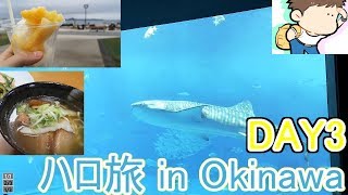 【沖縄VLOG】琉球ひとり旅2019 ～美ら海水族館、ゴーヤチャンプルー、沖縄ステーキ～【DAY３】